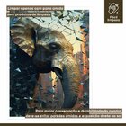 Quadro Decorativo Elefante Abstrato 007 Moldura Em Madeira 60