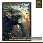 Quadro Decorativo Elefante Abstrato 007 Moldura Em Madeira Co