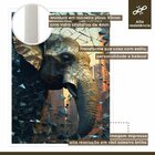 Quadro Decorativo Elefante Abstrato 007 Moldura Em Madeira Co