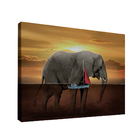Quadro Decorativo Elefante Aquático Médio 84x54