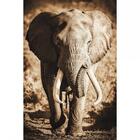 Quadro Decorativo Elefante Cor Sépia 1 Tela