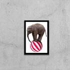 Quadro Decorativo Elefante Em Cima Da Bola 24x18cm - Com Vidr