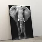 Quadro Decorativo Elefante Savana 60x90 Em Tecido Canvas