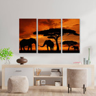 Quadro Decorativo Elefante Savana Africa 3 Peças