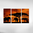 Quadro Decorativo Elefante Savana Africa 3 Peças