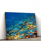 Quadro Decorativo Em Tecido Canvas 40x60cm Fundo Do Mar