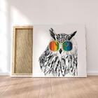 Quadro Decorativo Em Tecido Canvas 60x60cm Coruja Pb De Oculos