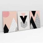 Quadro Decorativo Escandinavos Rosa Suave E Preto 3 Telas