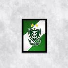 Quadro Decorativo Escudo América Mg 45x34cm A3 (45 X 34)