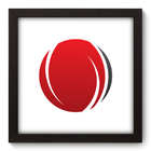 Quadro Decorativo - Esfera - 22cm X 22cm - 191qnaap