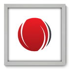 Quadro Decorativo - Esfera - 33cm X 33cm - 191qnabb