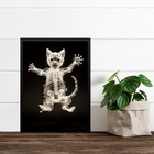 Quadro Decorativo Esqueleto De Gato 45x34cm Moldura Branca