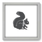 Quadro Decorativo - Esquilo - 33cm X 33cm - 030qdsb