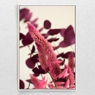 Quadro Decorativo Estampa Lavanda Com Moldura E Sem Vidro 100