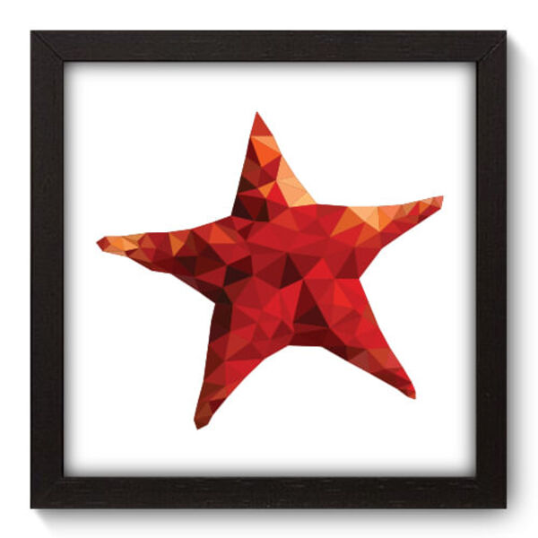Quadro Decorativo - Estrela Do Mar - 22cm X 22cm - 038qdsp