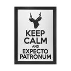 Quadro Decorativo ''expecto Patronum'' 40x30 Com Base - D'ros