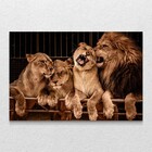Quadro Decorativo Família Quatro Leões Sem Moldura Sem Vidro