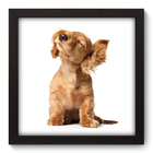 Quadro Decorativo - Filhote - 22cm X 22cm - 003qdsp