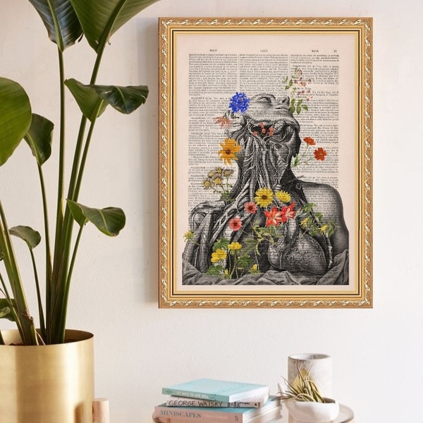 Quadro Decorativo Fisiologia Floral 33x24cm Moldura Branca