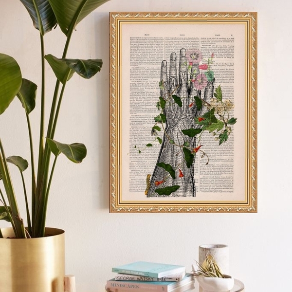 Quadro Decorativo Fisiologia Floral Mão 24x18cm - Com Vidro M