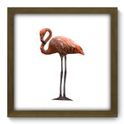 Quadro Decorativo - Flamingo - 33cm X 33cm - 233qdsm