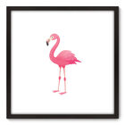 Quadro Decorativo - Flamingo - 70cm X 70cm - 033qnsdp