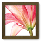 Quadro Decorativo - Flor - 22cm X 22cm - 004qdfm