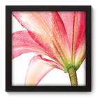Quadro Decorativo - Flor - 22cm X 22cm - 004qdfp