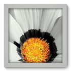Quadro Decorativo - Flor - 22cm X 22cm - 007qnfab