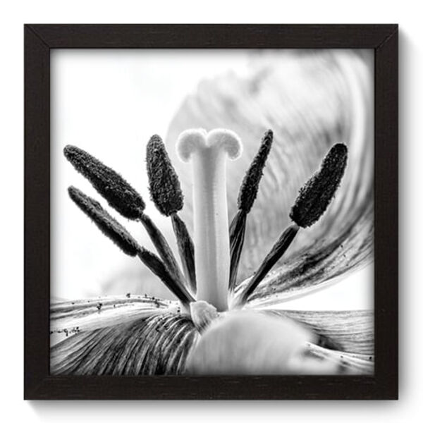 Quadro Decorativo - Flor - 22cm X 22cm - 008qnfap