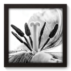 Quadro Decorativo - Flor - 22cm X 22cm - 008qnfap