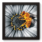 Quadro Decorativo - Flor - 22cm X 22cm - 009qnfap