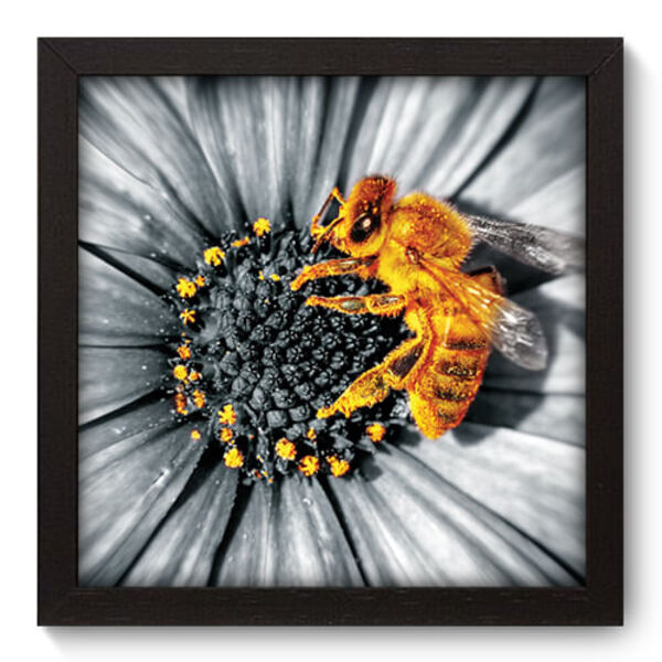 Quadro Decorativo - Flor - 22cm X 22cm - 009qnfap