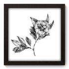 Quadro Decorativo - Flor - 22cm X 22cm - 017qnfap