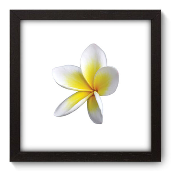 Quadro Decorativo - Flor - 22cm X 22cm - 075qdfp