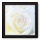 Quadro Decorativo - Flor - 22cm X 22cm - 095qdfp