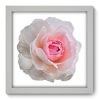 Quadro Decorativo - Flor - 22cm X 22cm - 125qdfb
