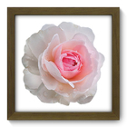 Quadro Decorativo - Flor - 22cm X 22cm - 125qdfm