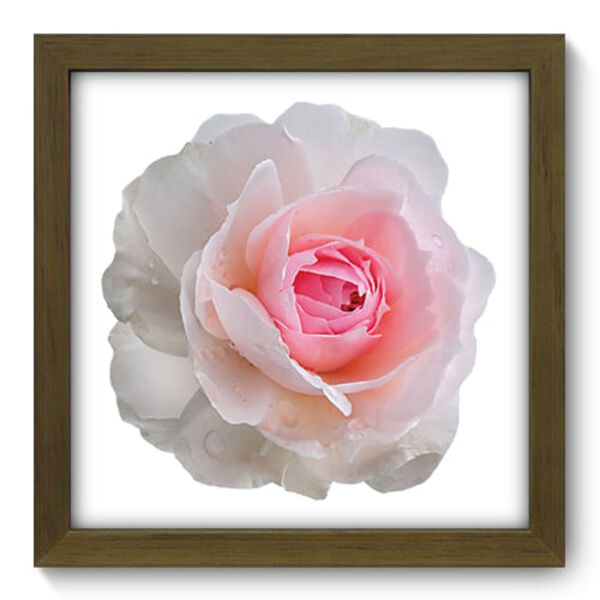 Quadro Decorativo - Flor - 22cm X 22cm - 125qdfm