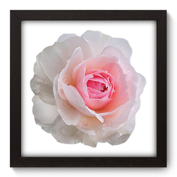 Quadro Decorativo - Flor - 22cm X 22cm - 125qdfp