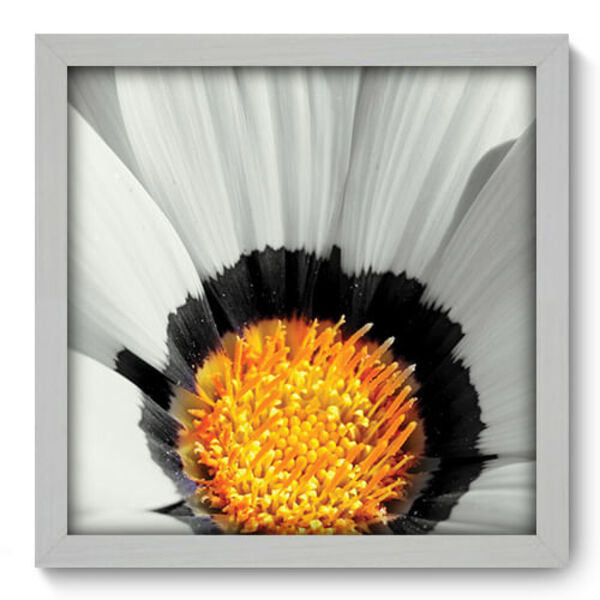 Quadro Decorativo - Flor - 33cm X 33cm - 007qnfbb