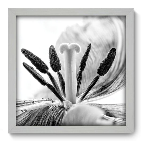 Quadro Decorativo - Flor - 33cm X 33cm - 008qnfbb