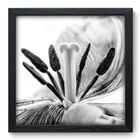 Quadro Decorativo - Flor - 33cm X 33cm - 008qnfbp