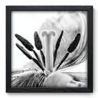 Quadro Decorativo - Flor - 33cm X 33cm - 008qnfbp