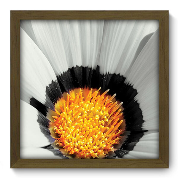 Quadro Decorativo - Flor - 33cm X 33cm - 102qdfm