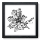 Quadro Decorativo - Flor - 33cm X 33cm - 104qdfp