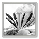 Quadro Decorativo - Flor - 50cm X 50cm - 008qnfcb