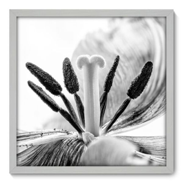 Quadro Decorativo - Flor - 50cm X 50cm - 008qnfcb