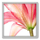 Quadro Decorativo - Flor - 50cm X 50cm - 013qnfcb