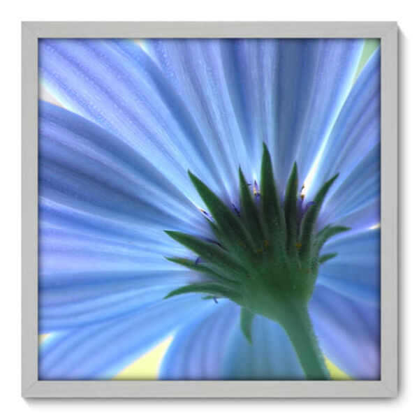 Quadro Decorativo - Flor - 50cm X 50cm - 015qnfcb